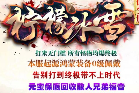 神龙星王英雄合击版本