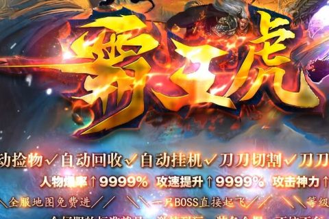 免费单机霸王虎护盾特效版本